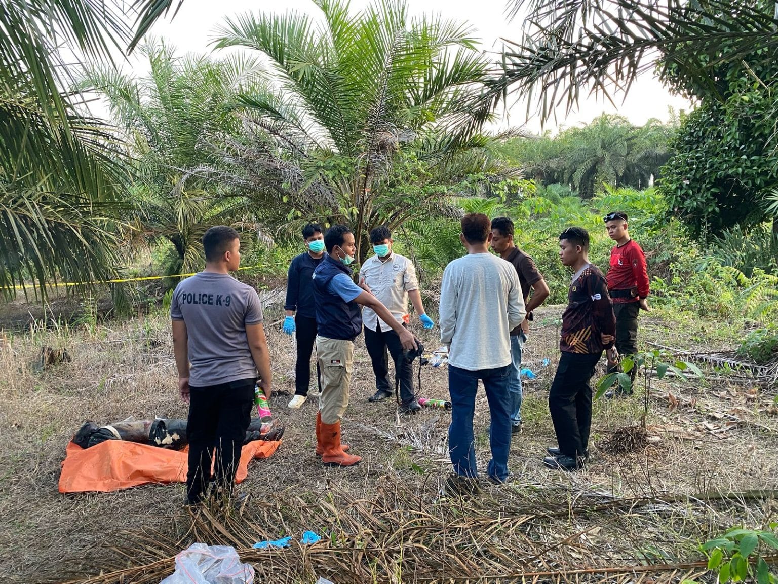 TIM K-9 POLDA KEP.BABEL, UNIT IDENTIFIKASI SAT RESKRIM POLRES BANGKA BESERTA POLSEK MERAWANG EVAKUASI LANSIA HILANG DI MERAWANG DITEMUKAN MENINGGAL DI KEBUN SAWIT